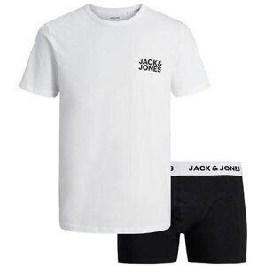 Jack&Jones PACK - triko a boxerky JACSUSTAINABLE 12180190 White L