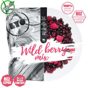 Sušené ovoce LYOfood Wild berry mix - 30 g velikost: Minimální trvanlivost do: 31.10.2024