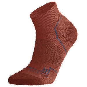 Pánské merino ponožky ICEBREAKER Mens Hike+ Light Mini, Ember/Molten/Kyanite velikost: 47-49 (XL)