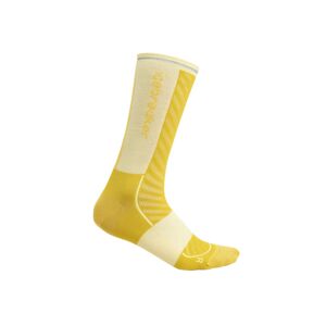 Dámské merino ponožky ICEBREAKER Wmns Merino Run+ Ultralight Crew, Lux/Lucid velikost: 38-40 (M)
