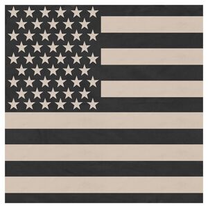 ROTHCO Šátek vlajka USA 55 x 55 cm DESERT Barva: KHAKI